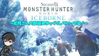 参加型‼ PC版【MHW:I】装備作りながらまったりプレイ‼