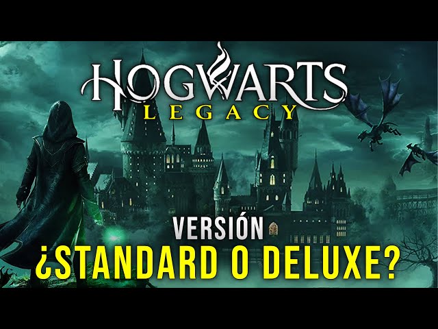 Vídeo relacionado con Harry Potter Bragas Paquete de 5 Hogwarts Multicolor 11-12 Años