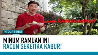 Download lagu Tips Keluarkan Racun dalam Tubuh Ala dokter Haekal | Nutrisi Herbal mp3