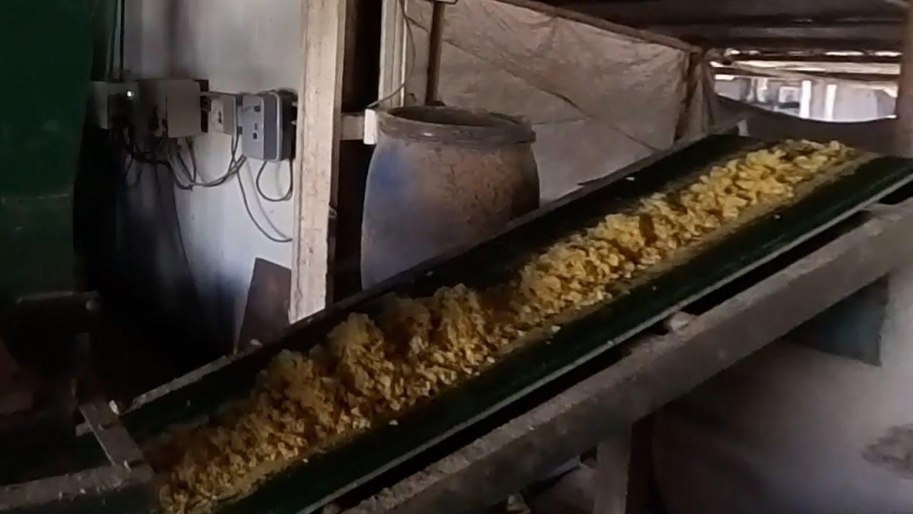 SUPLEMENTACION NUTRICIONAL PARA ANIMALES  A BASE DE RESIDUOS AGROINDUSTRIALES GANADOR DEL VALLE – CO