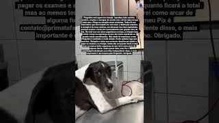 O texto pequeno é porque o shorts do YouTube não permite mais de 100 caracteres. Obrigado.