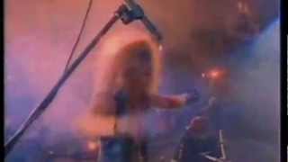 Poison - Look What The Cat Dragged In (Music Video)