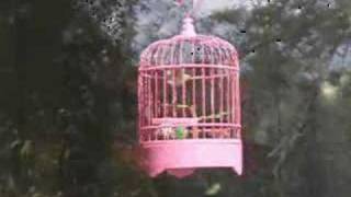 Wake Up Little Sparrow