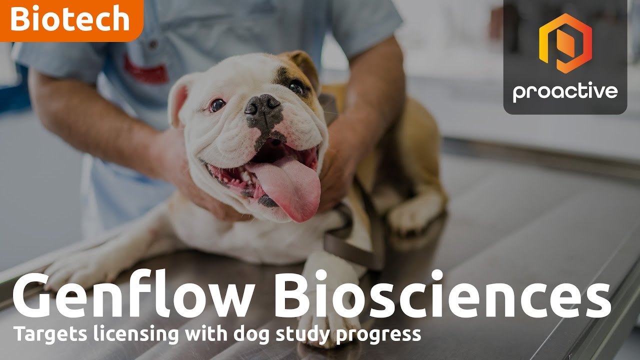 Genflow Biosciences CEO on FY24 progress, dog study and other upcoming milestones 