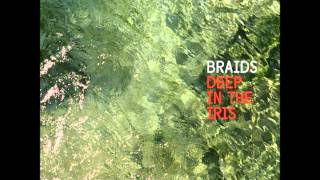 Braids - Deep in the Iris (Full Album) 2015