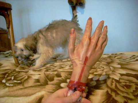 NIKYTA contra mainii de plastic by PIU