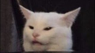 I TRIPPED OVER MY CAT WHILE REACTING TO THE IT VR