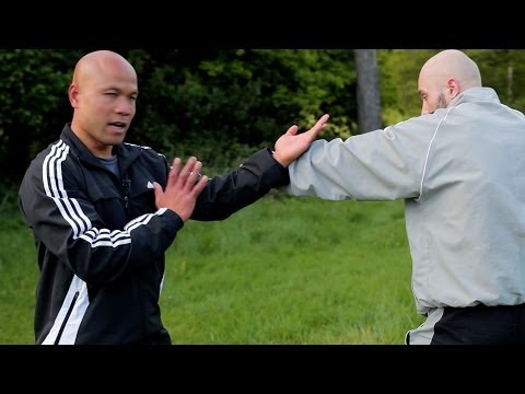Wing Chun kung fu glossary - tan sao