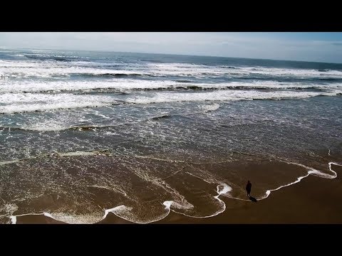 download lagu mp3 mp4 Matagorda Beach Tx, download lagu Matagorda Beach Tx gratis, unduh video klip Matagorda Beach Tx