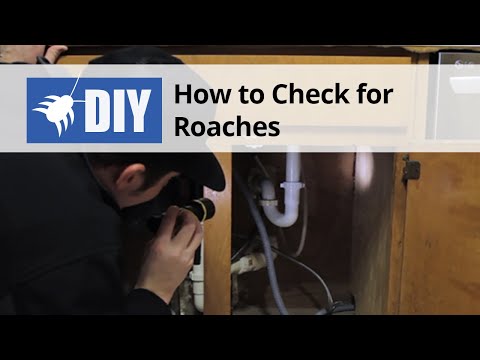  Cockroach Inspection - Learn Where Roaches Hide Video 