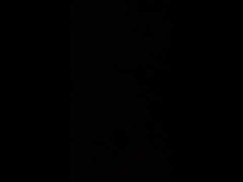 Dani Mocanu de gubaucea