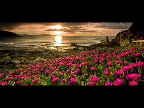 ES Distance 7   Niklas Gustavsson