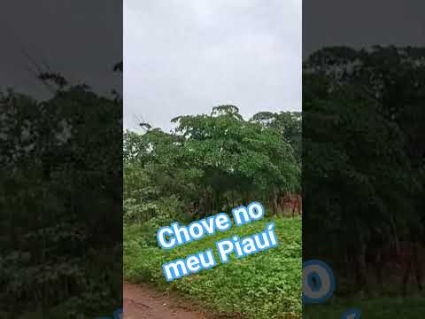 Ano começando do jeito que o piauiense gosta!  Vídeo de um fã de Landri Sales PI