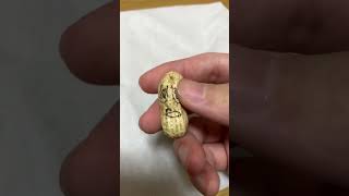 本物のピーナッツに刀ピーoverdose踊らせてみた #shorts #ピーナッツくん #踊ってみた #刀ピー