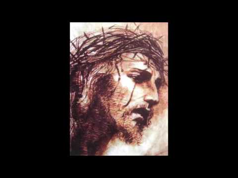 Mala krunica Kristova Lica