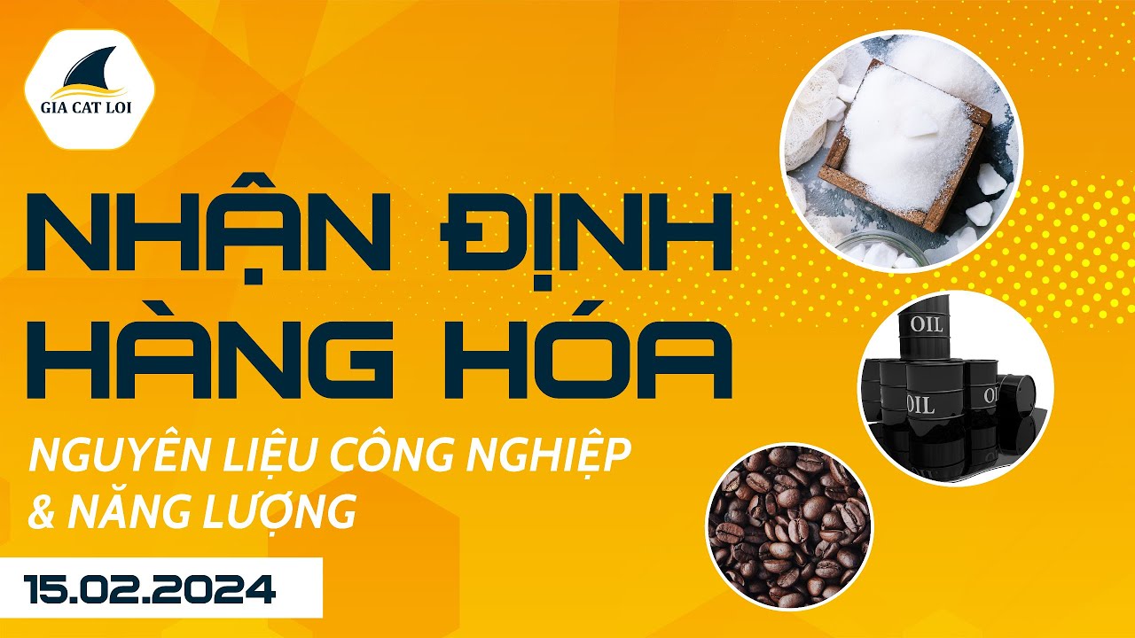 Nhận Định Thị Trường Năng Lượng & Nguyên Liệu Công Nghiệp Ngày 15/02/2024