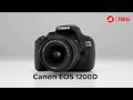 Фотоаппарат зеркальный Canon EOS 1200D 