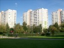 Chomiczówka - Sidney Polak 