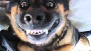 Any Day (is a good day)