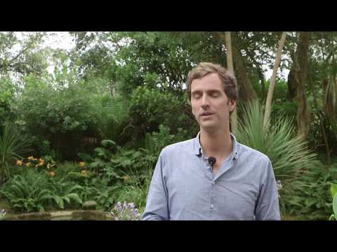 download lagu mp3 mp4 Garden Vision Epimediums, download lagu Garden Vision Epimediums gratis, unduh video klip Garden Vision Epimediums