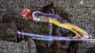 Adler sollen fliegen 2014