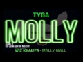 Tyga Ft Wiz Khalifa & Mally Mall - Molly (Hotel ...