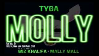 Tyga Ft Wiz Khalifa & Mally Mall - Molly (Hotel California)