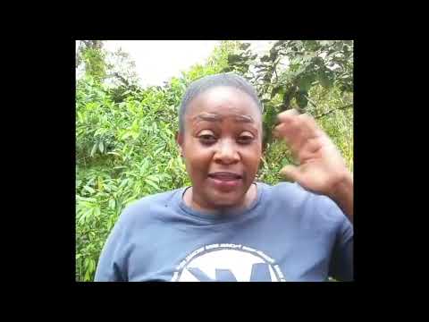 HISTORIAS DEL ALTO BAUDO CHOCÓ COLOMBIA 