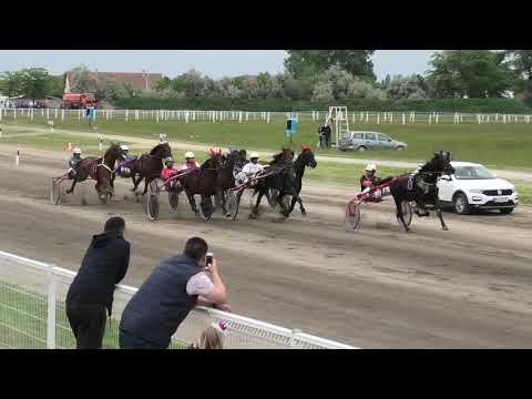 Trka "Holidej '93" 19.05.2019 Ivan Turgenev A.T. - Dejan Petrović