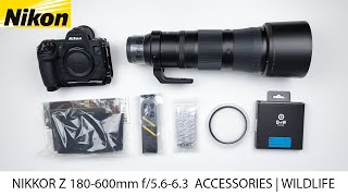 Nikon NIKKOR Z 180-600mm f/5.6-6.3 | Accessories Wildlife | NIKON Z8 | Lenscoat