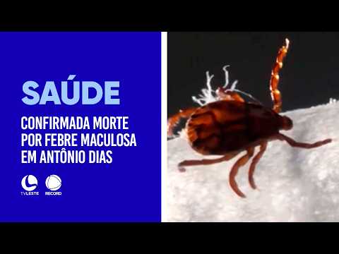 Antônio Dias: Confirmada morte por febre maculosa.