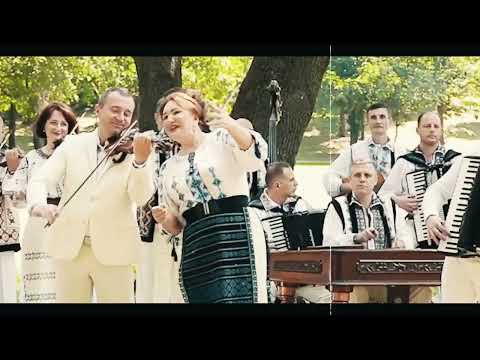 AMystic - Teagă De Folk-Hop