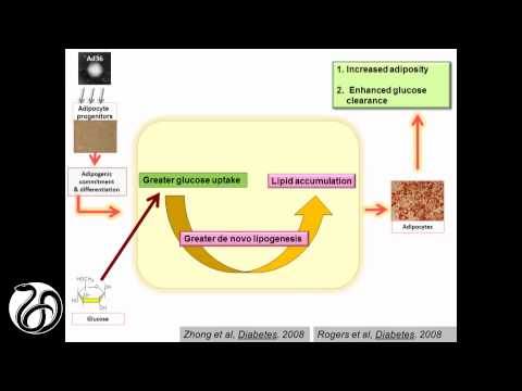 download lagu mp3 mp4 Dr Vinod Dhurandhar, download lagu Dr Vinod Dhurandhar gratis, unduh video klip Dr Vinod Dhurandhar