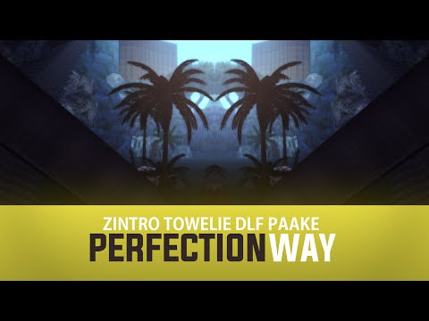 [DM] ZinTro | Towelie | DLF | PaaKe - Perfection Way