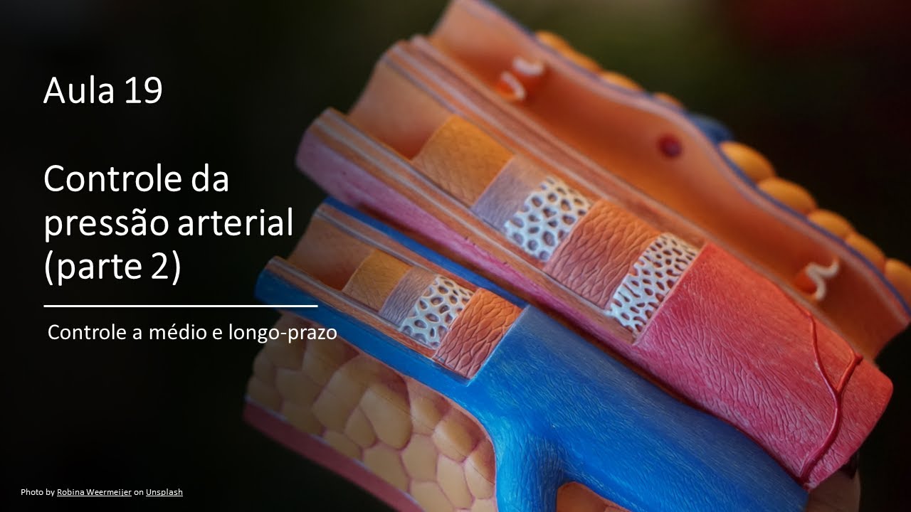 Videoaula 19 Controle da pressão arterial (parte 2)