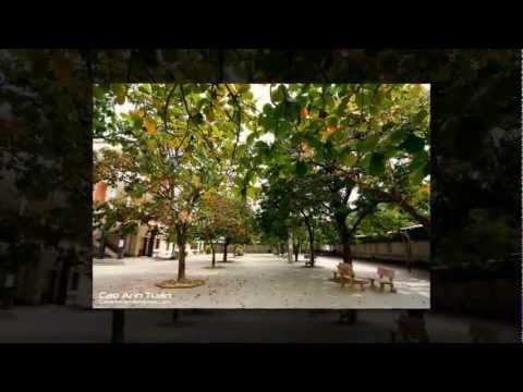 Chiều chia tay - Acy Xuân Tài