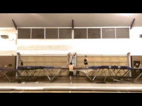 Ty Swadling, 2015 Australian Gymnastics Championships preparation.