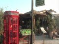 The Olive Tree Video Wmv