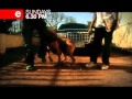 Rolling With Zola 2011 11 06