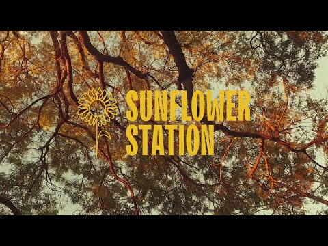 Leave - Sunflower Station (Official Music Video)