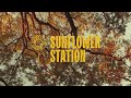 Sunflower Station - Leave (Official Music Video)