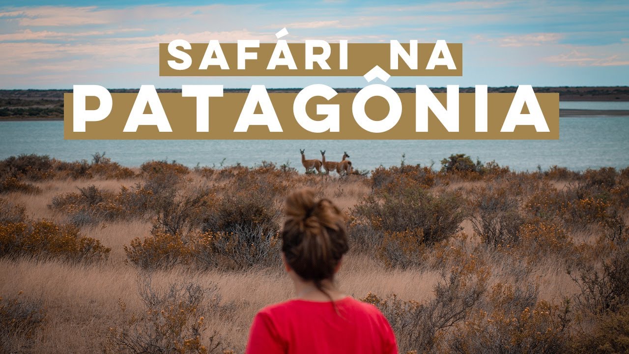 PENÍNSULA VALDÉS DE MOTORHOME | AMÉRICA DO SUL Ep03