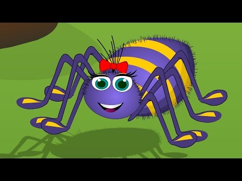 A Dona Aranha |Itsy Bitsy Spider Portuguese | Vídeo Musical Infantil