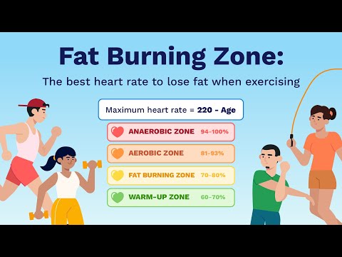 What is the Fat Burning Zone? The Best Heart Rate to Lose Fat When Exercising