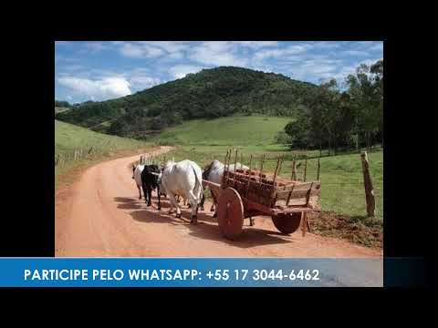 Caminho da Roça - Apresentação: Paulinho | 10/04/2026 - Parte 1
