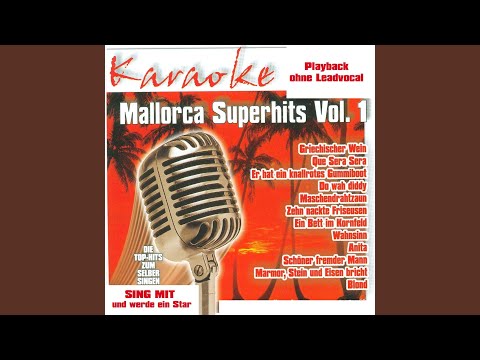 Schöner, fremder Mann (InstrumentalVersion)