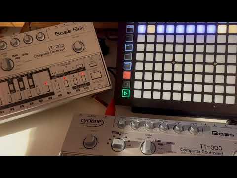hapax / tt-303 / tanzbar