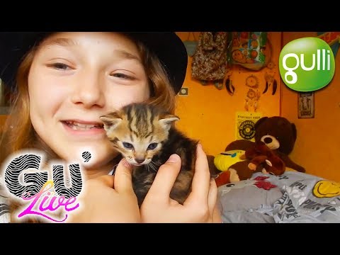 GU'LIVE : La chanson de Satine avec Joan et Gaëlle, dès 13h30 sur Gulli ! Emission 11 Partie 2