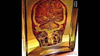 In Search Of The - Truckfighters (Brain Ape Cover)