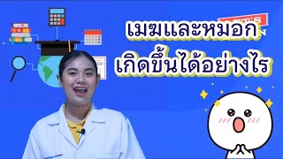ep.27 วิทยาศาสตร์ ป.5 เรื่อง เมฆและหมอก เกิดขึ้นได้อย่างไร by ครูเมย์ ชนากานต์